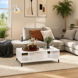 Your New Coffee Table: Stylish and Functional Storage