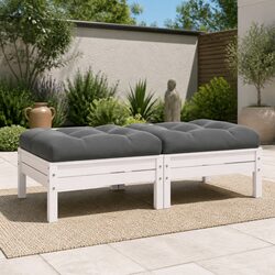 Concise 2-Seater Garden Sofa with Cushions