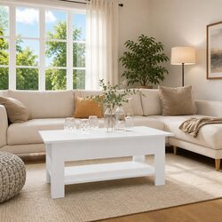Concise and Modern Coffee Table with Two-Tier Design