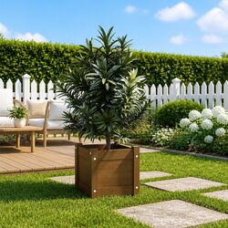 Wooden Garden Planter Box Brown Solid Pinewood Pot Flower Herbs Vegetables