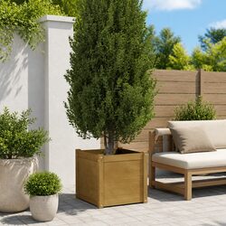 Garden Planter Box: Solid Wood, 50x50x50cm, Durable