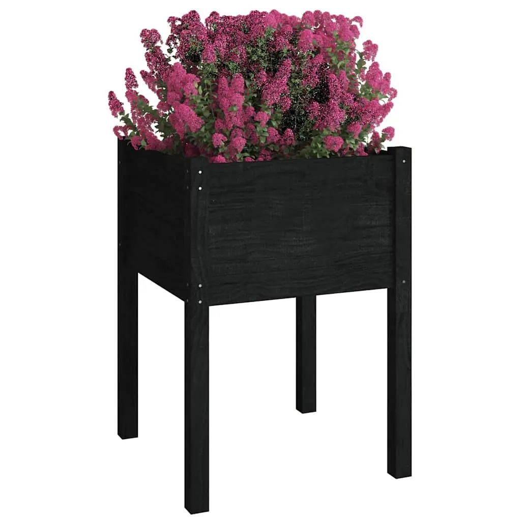 Garden Planter Box Black Solid Pinewood Outdoor Raised Bed