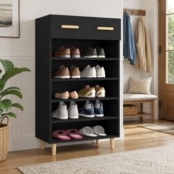 Compact and Functional Black Shoe Cabinet