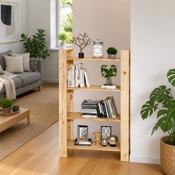 Compact and Elegant Book Cabinet Room Divider