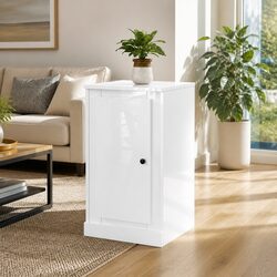Concise and Stylish High Gloss Storage Solution