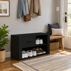 Black Shoe Cabinet with 2 Compartments for Storage