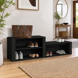 Compact Black Shoe Cabinet with Efficient Storage