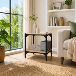Concise and Solid Brown TV Cabinet with 2 Shelves