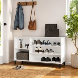Shoe Cabinet with High Gloss Finish