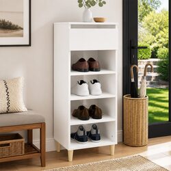 High Gloss Shoe Cabinet with 4 Shelves