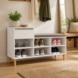 Compact and Stylish Shoe Cabinet with 6 Compartments