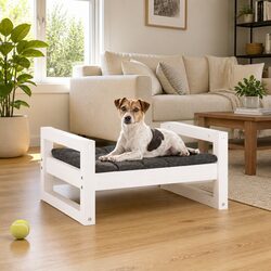 Durable Elevated Dog Bed in Minimalist Style