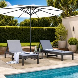 Concise Grey Sun Loungers Set 2 pcs with Adjustable Feature