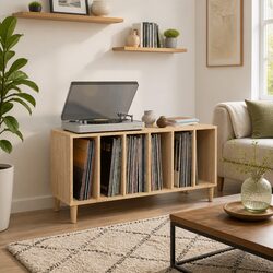 Concise and Sturdy Record Storage Cabinet for Vinyls