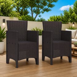 Garden Chair Set of 2: Modern and Durable