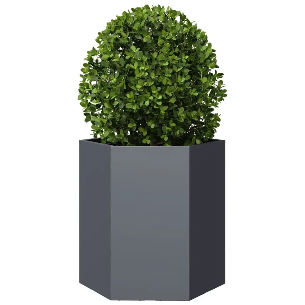 Garden Planters Anthracite 2 pcs Hexagon Raised Outdoor Flower Pot
