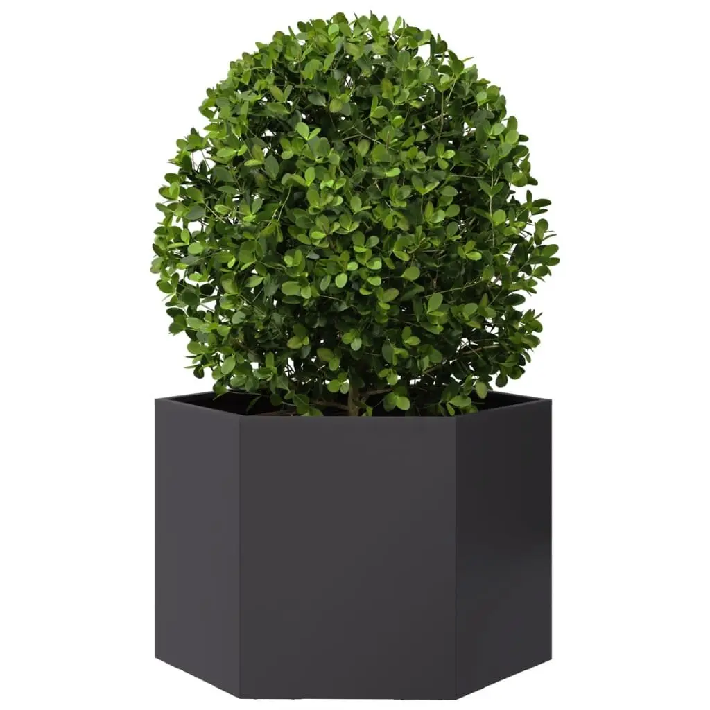 Garden Planter Black Hexagon Steel 69x60x45cm Raised Bed for Outdoor Flowers Plants