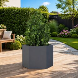 Hexagon Garden Planter: Perfect for Outdoor Gardening