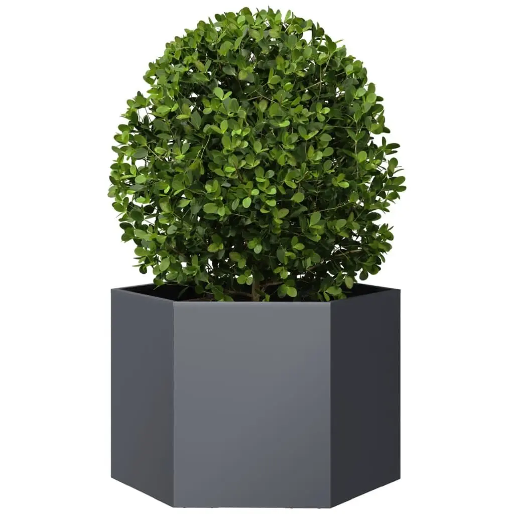 Hexagon Garden Planter Anthracite Steel Raised Bed Outdoor for Flowers Plants Vegetables