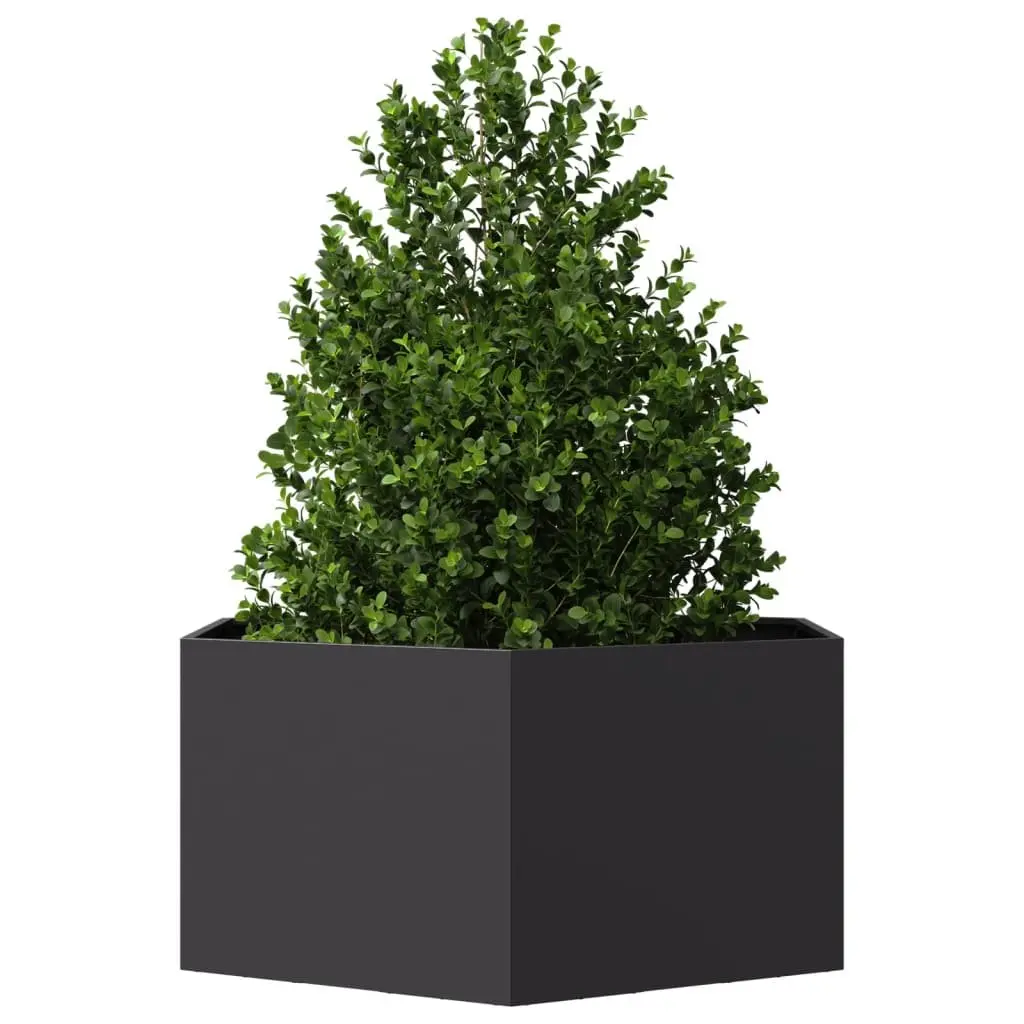 Garden Planter Black Hexagon Outdoor Raised Bed for Flowers Plants Vegetables Herbs