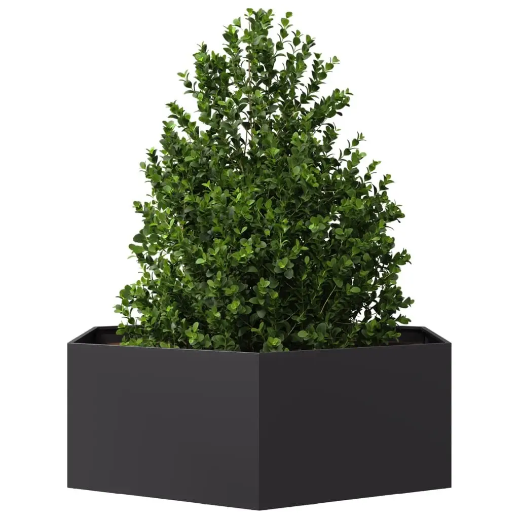 Hexagon Raised Garden Planter Black Steel Outdoor for Plants Flowers Vegetables Herbs 138x120x45cm