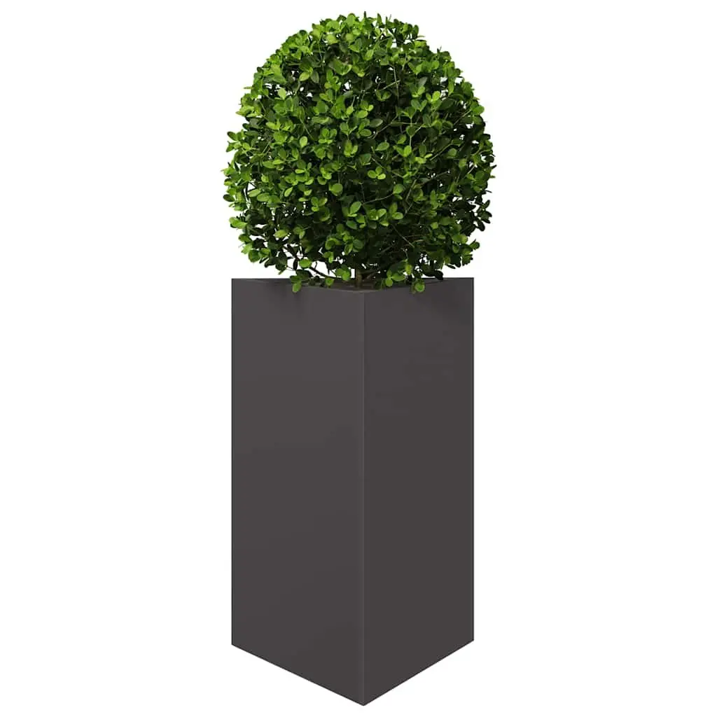 Garden Planter Triangular Black Steel 50x43x75cm Outdoor Pots Flowers Plants