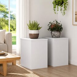 Add a Touch of Elegance with White Plant Stands - 2 pcs