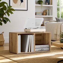 Compact Storage Box for Vinyl Records and More