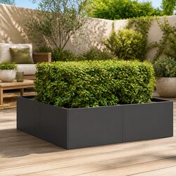 Compact Black Steel Planter Box 100x100x30 cm