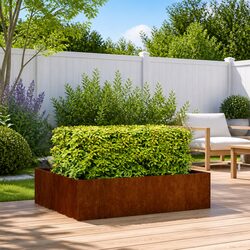 Compact and Sturdy Raised Garden Planter Box 100x100x30cm