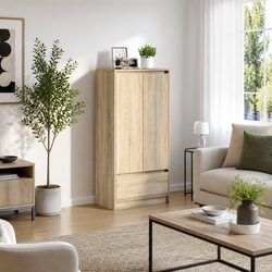 Compact Storage Cabinet with Stylish Brown Finish