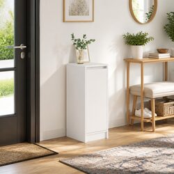 Compact Shoe Cabinet: Keep Your Shoes Neat