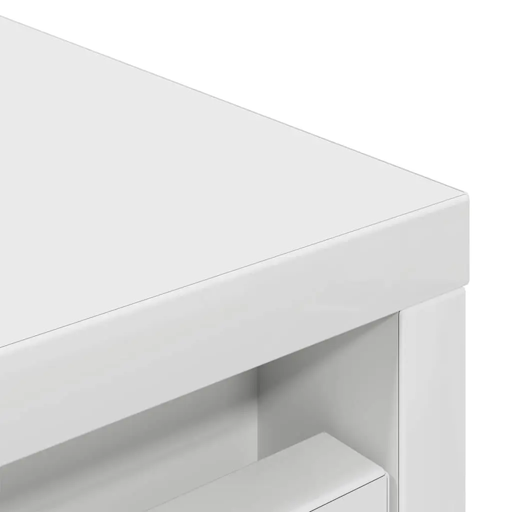 Shoe Cabinet White Engineered Wood Storage Organiser with Doors