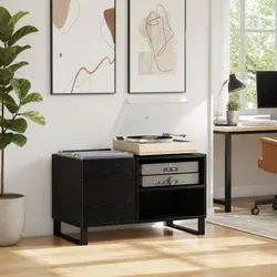 Compact Black Oak Media Storage Cabinet with Storage Space