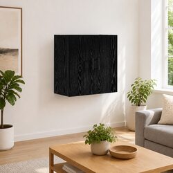 Concise and Confident: Wall-mounted Storage Cabinet