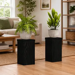 Black Modern Plant Stands for Stylish Displays