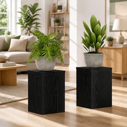 Concise and Sturdy Plant Stand Set - Two Tiered Design