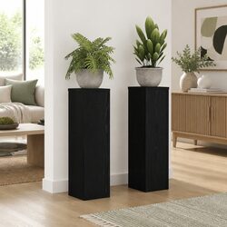 Compact and Stylish 2-Piece Black Plant Stand Set