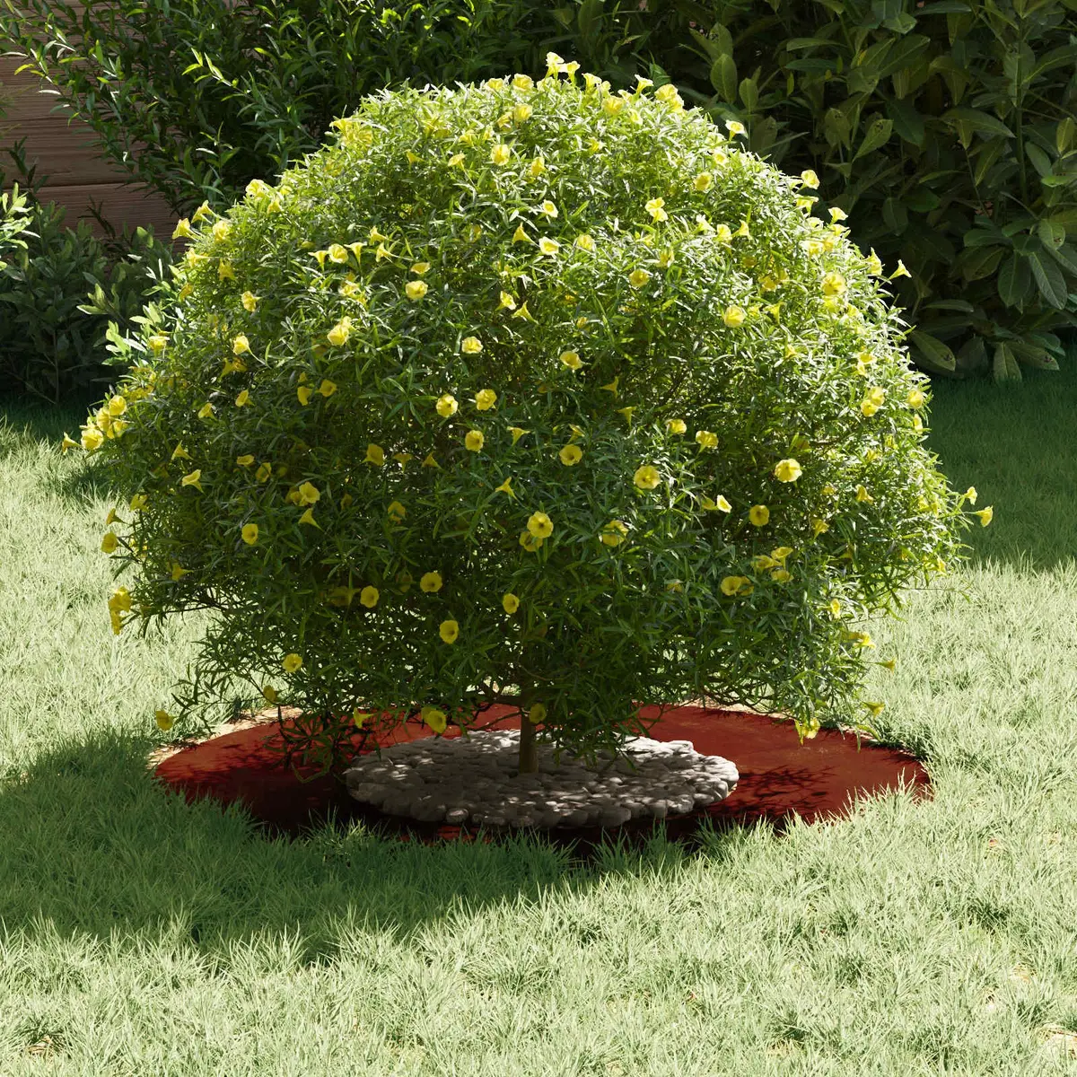 Tree Ring Set Brown Ø30/60cm Decorative Garden Protective Flat Ring 5 Piece