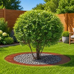 Brown Tree Ring Set for Gardens: 5-Piece Efficiency