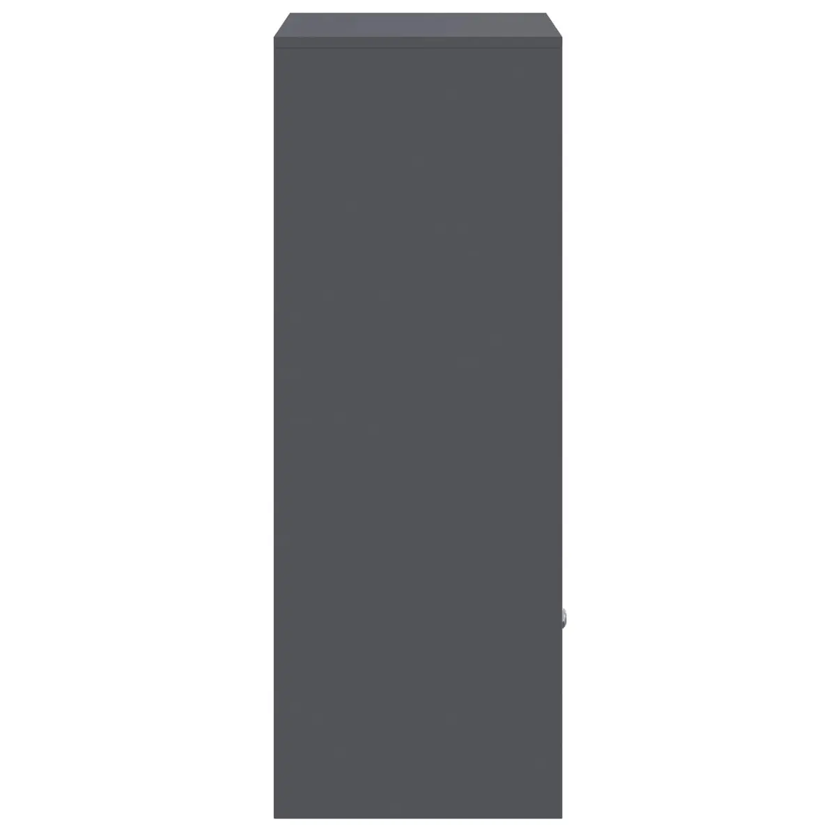 Parcel Drop Box with Storage Anthracite Outdoor Garden Mailbox Steel Secure