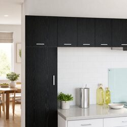 Concise and Stylish Hanging Kitchen Cabinet