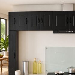 Compact Black Kitchen Cabinet for Organization