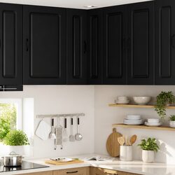 Compact and Stylish Black Kitchen Storage Cabinet
