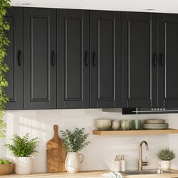 Compact and Stylish Wall Cabinet for Kitchen
