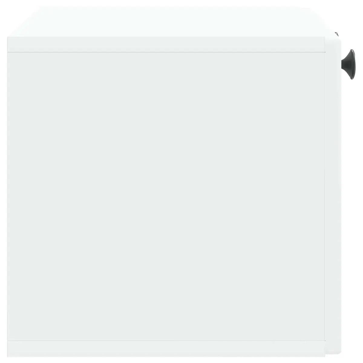 Wall-Mounted TV Cabinet White Modern Living Room Storage Unit 59.5 x 31 x 30 cm