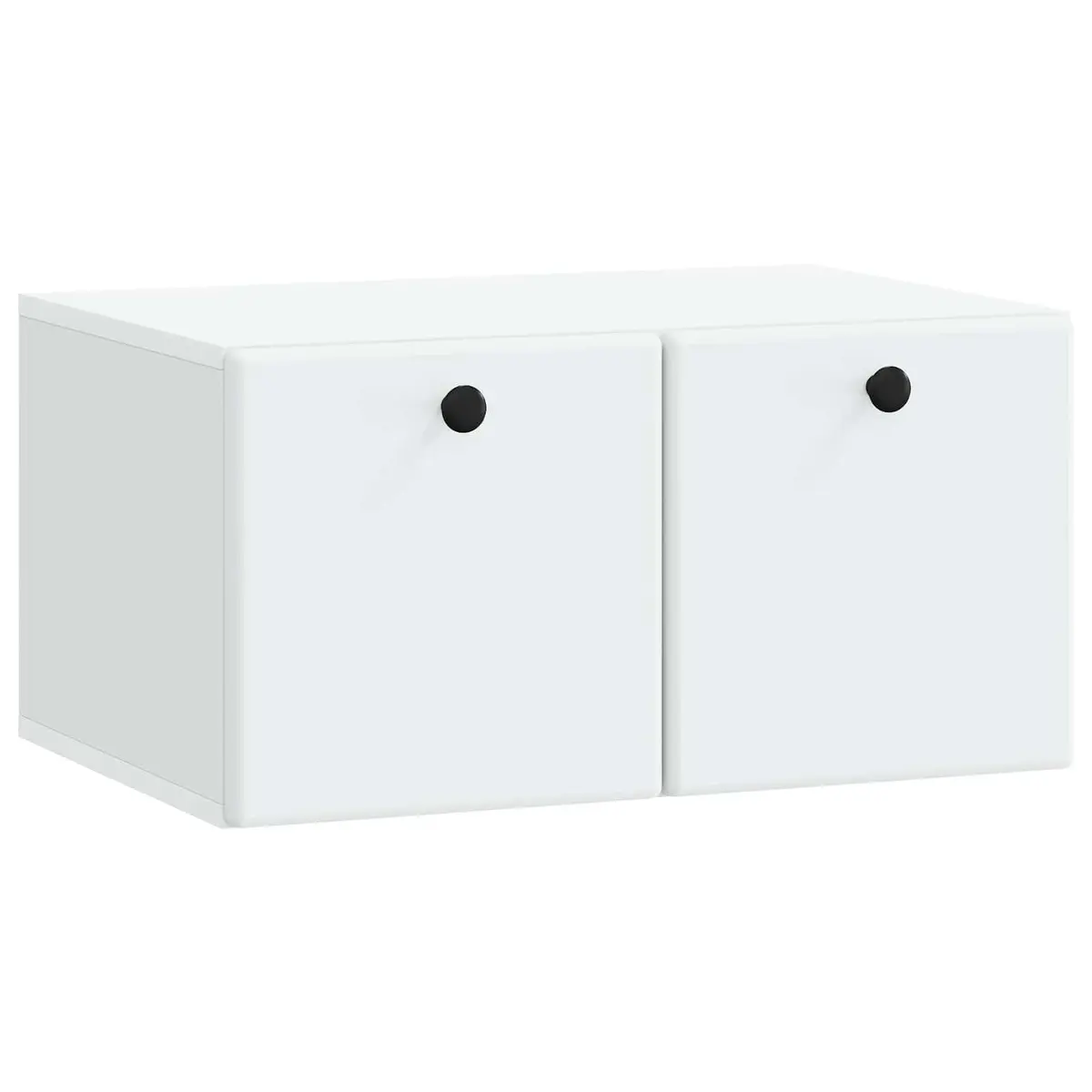 Wall-Mounted TV Cabinet with Ample Storage