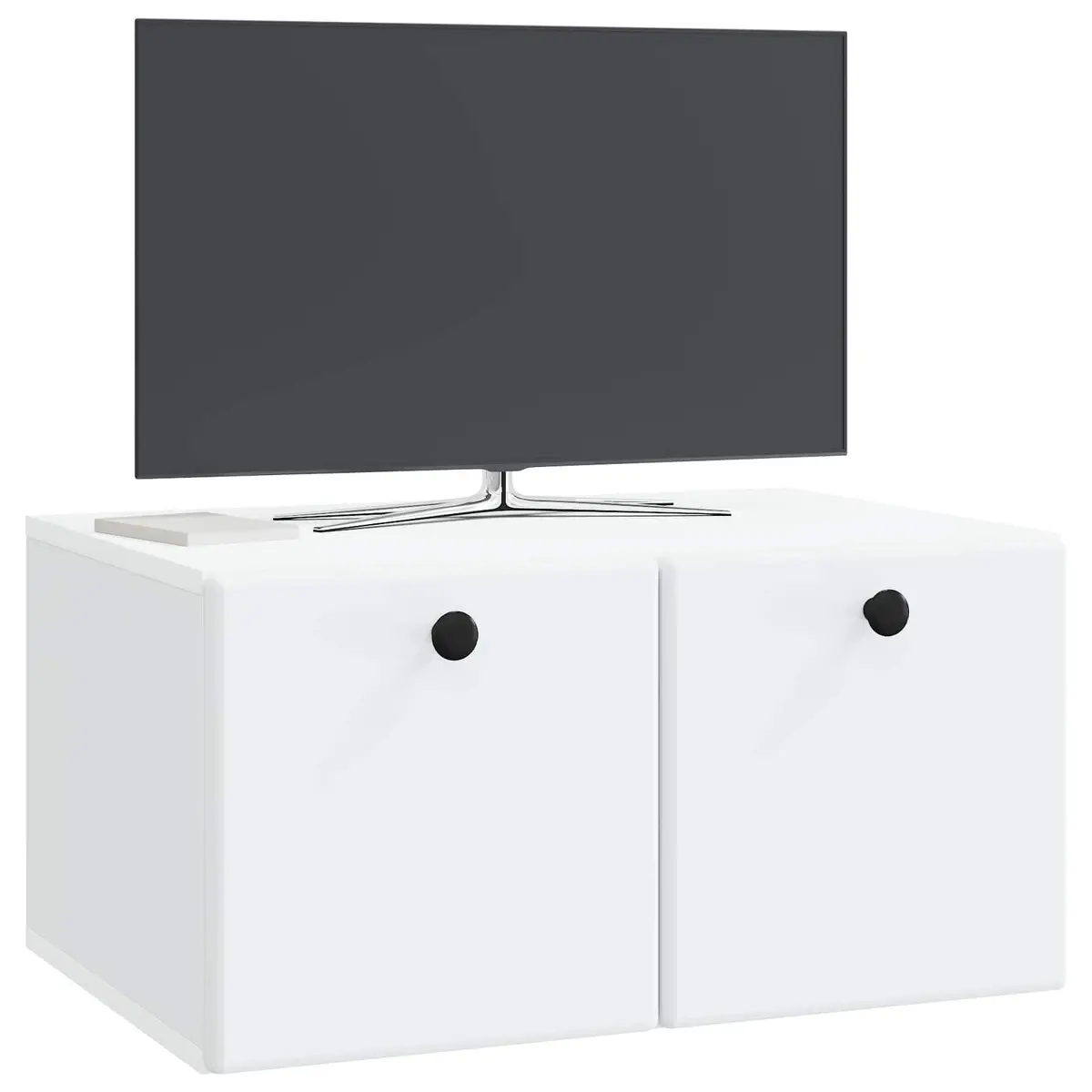 Wall-Mounted TV Cabinet with Ample Storage
