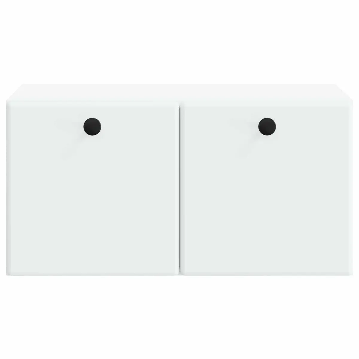 Wall-Mounted TV Cabinet with Ample Storage