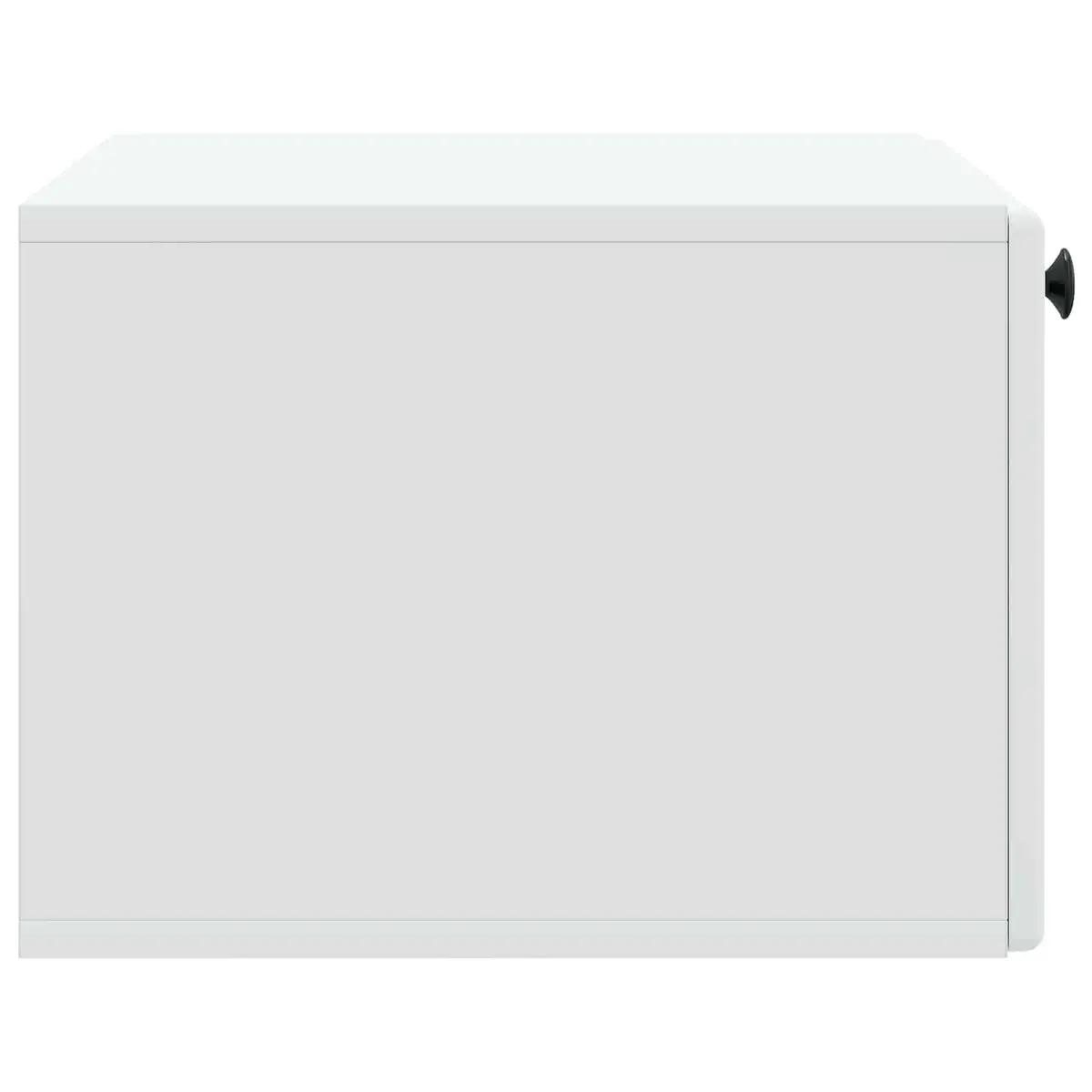 Wall-Mounted TV Cabinet with Ample Storage